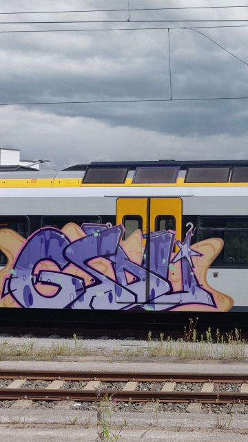 bbs_website_graffiti_gsdu.jpg
